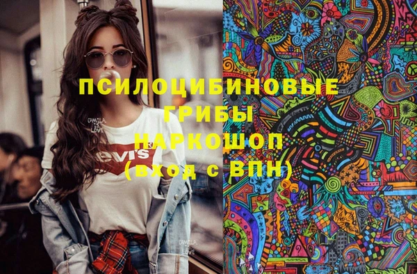 соль ск Балахна