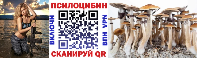 Галлюциногенные грибы Psilocybe  Спас-Деменск 